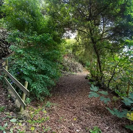 Apartmán Finca El Molledo La Cuadra *